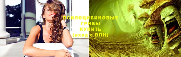 винт Осинники