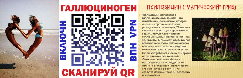 Псилоцибиновые грибы прущие грибы  darknet телеграм  Новочеркасск  наркотики 