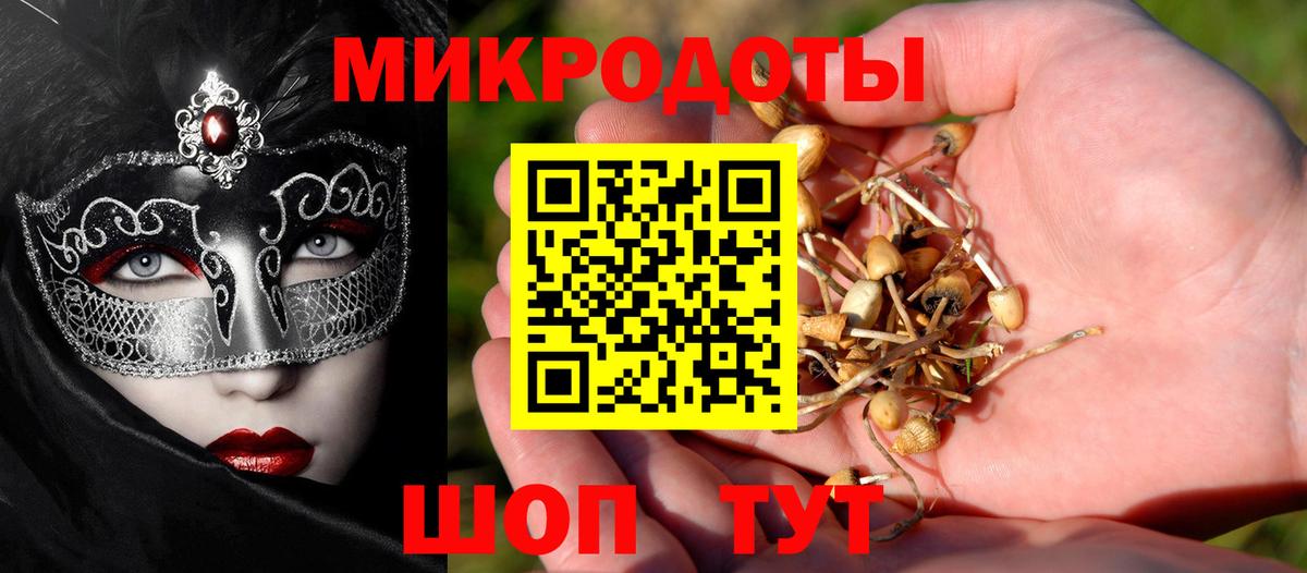 Псилоцибиновые грибы GOLDEN TEACHER  Вход с VPN  Новочеркасск 